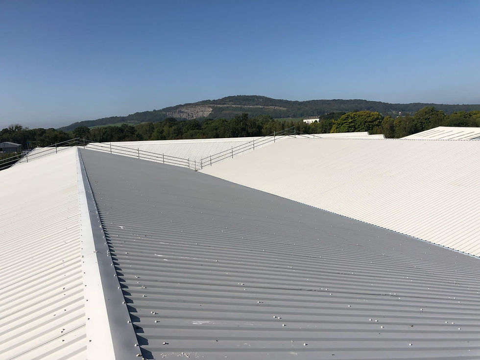A vast, newly installed white and grey corrugated metal industrial rooftop featuring safety railings
