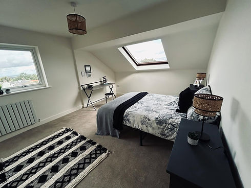 Attic bedroom with sloping ceiling skylight window and monochrome patterned rug