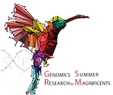 GSRM Logo.png
