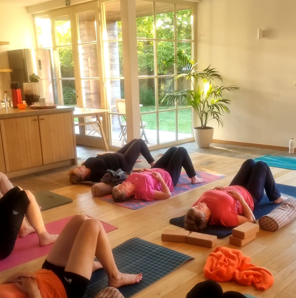 Starten met yoga in september (8 weken) - nazomerreeks met Eva