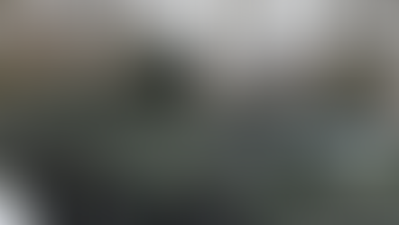 Almanya, CAVS Programı'nı Dahil Oldu