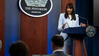 Afrika Aslanı 2024 Başladı