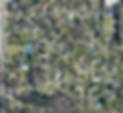 RA satellite Screenshot 2024-10-18 131854.png