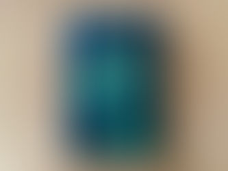 Người ăn chay - Han Kang