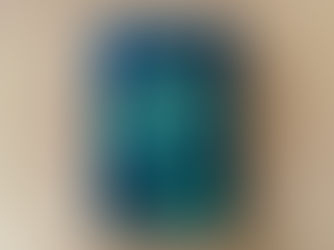 Người ăn chay - Han Kang