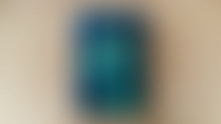 Người ăn chay - Han Kang