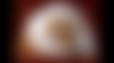 10 Cara Membuat Kucing Gemuk