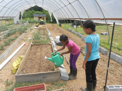 Girls in greenhouse