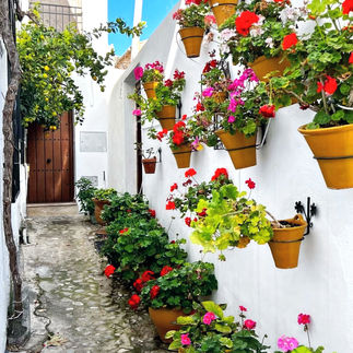 straatje met bloempotten in Priego de Cordoba