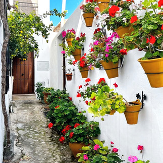 straatje met bloempotten in Priego de Cordoba