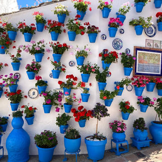 blauwe bloempotten in Iznájar