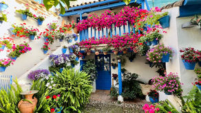 Ontdek de kleuren van Spanje: onze top 5 plaatsen in Andalusië vol kleurrijke bloempotten
