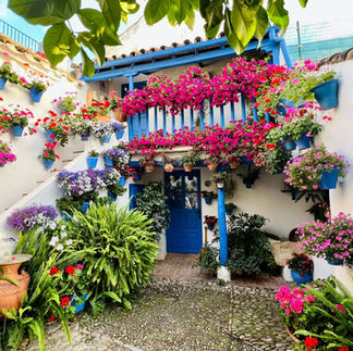 Spaanse patio in Cordoba