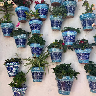 Spaanse bloempotten in Mijas