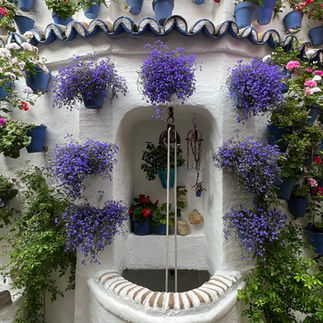 Patio in Cordoba