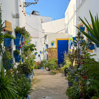 Straatje in Conil de la Frontera