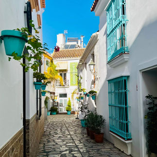 Kleurrijk straatje in Estepona