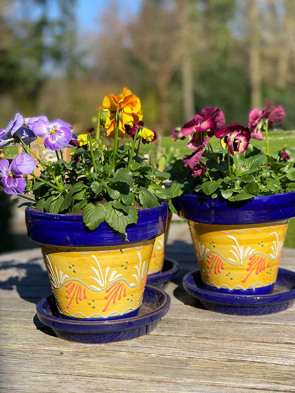 Miniature : Spaanse bloempotten in gele kleur met blauwe boord