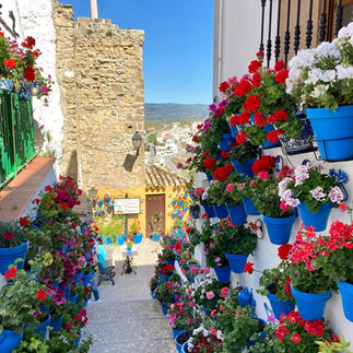 Patio de las Comedias