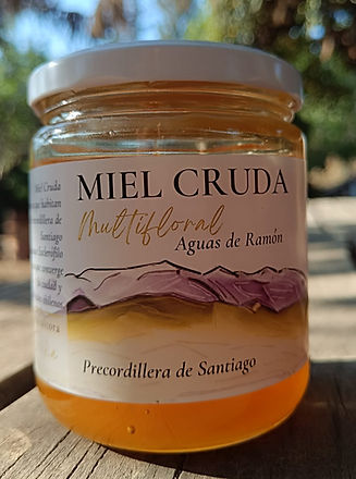 WhatsApp Image 2025-12-23 at 8.04_edited.jpg