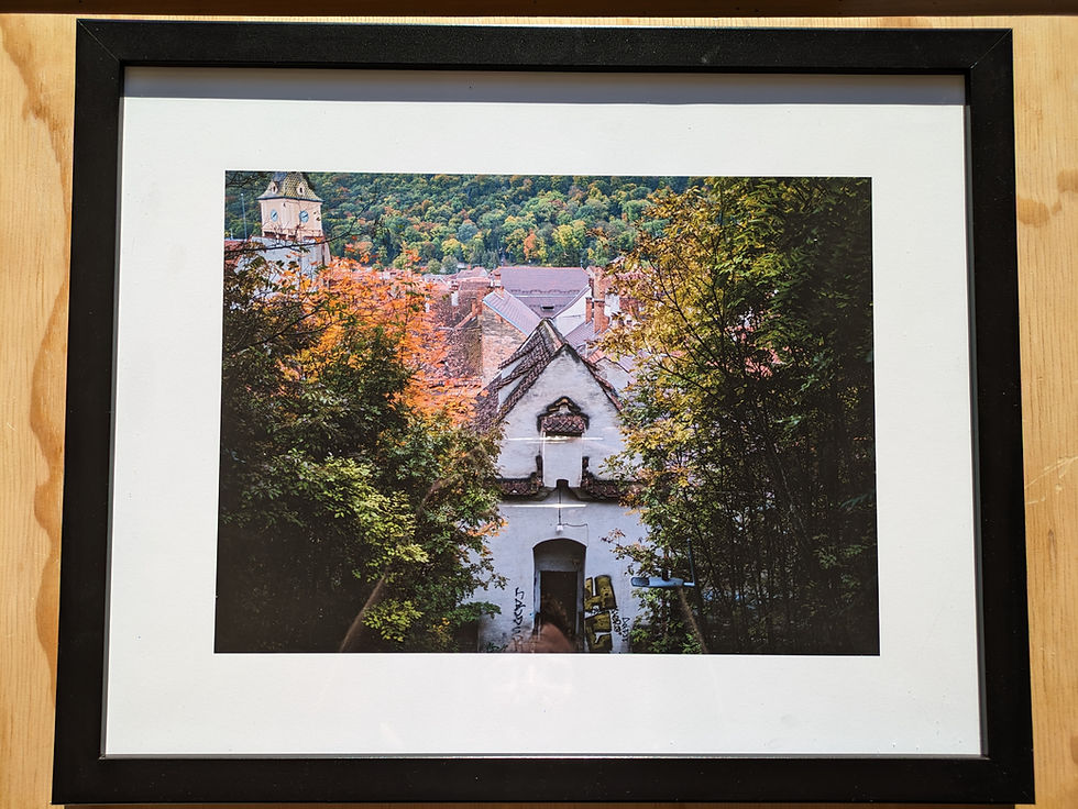 Thumbnail: Framed Print - Paradise Harbour