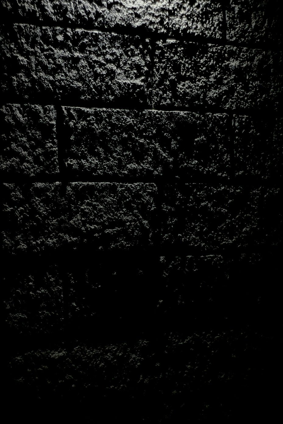 Background Wall.jpg