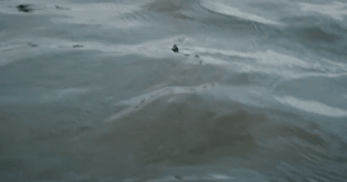 gif missfits.gif