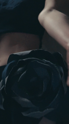 IAM_NYFW_REEL_001.1.gif