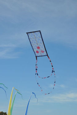 v1000_vol_cerf_volant_improvise_sur_plac