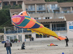 1200_cerfs-volants_IMG_1125