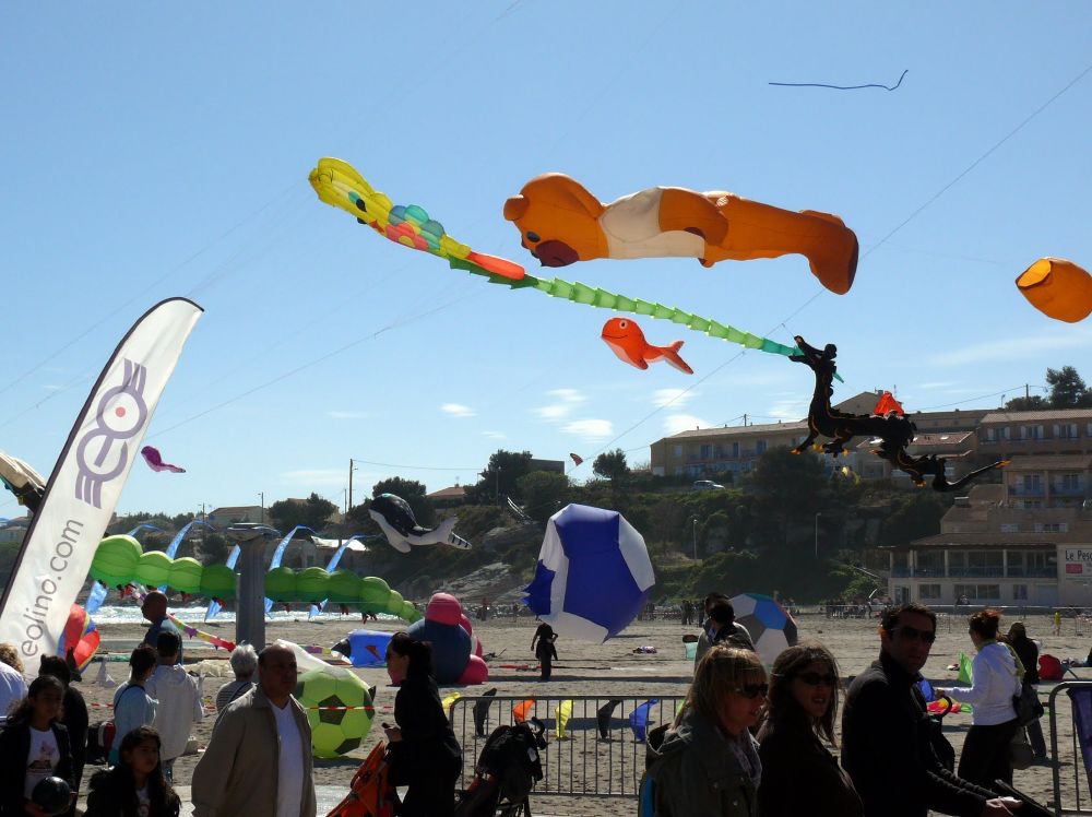 1000_festival_P1130273
