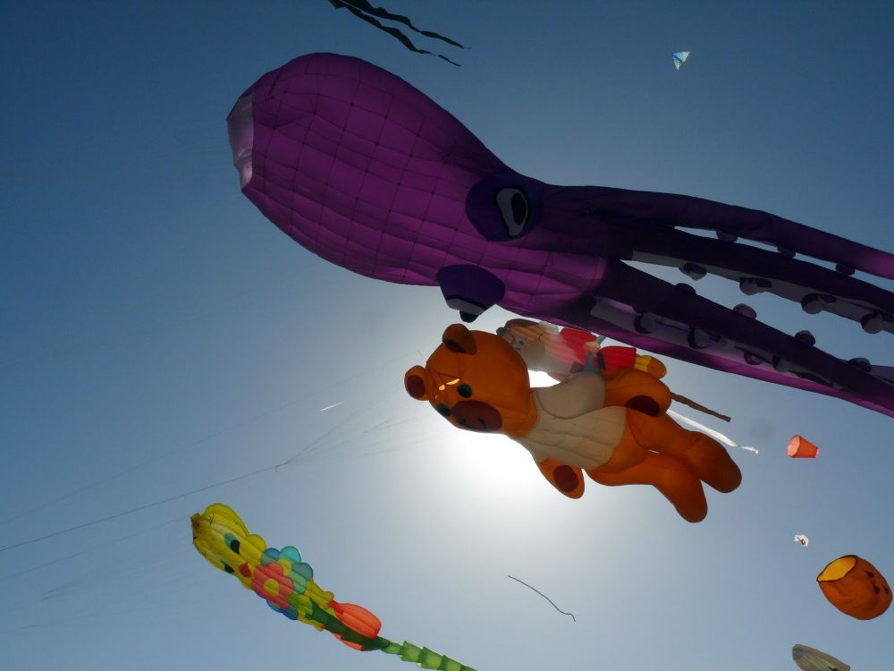 1000_festival_P1130333