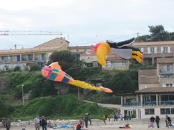 1200_cerfs-volants_IMG_1131