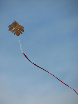 1200_cerfs-volants_IMG_1171