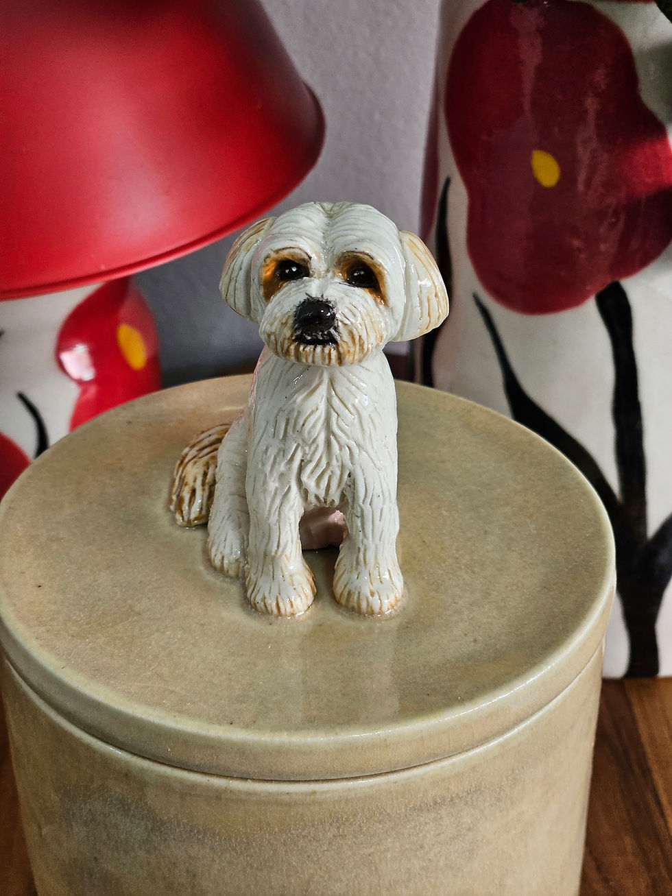 Miniatura: Urna PET personalizada