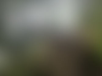 はじめました。