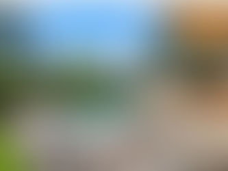 Custom Pool Builders College Station TX: A Complete Guide for Homeowners