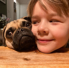 Familienhund, kleiner Hund, sportlicher Hund, altdeutscher Mops, VDH Mops