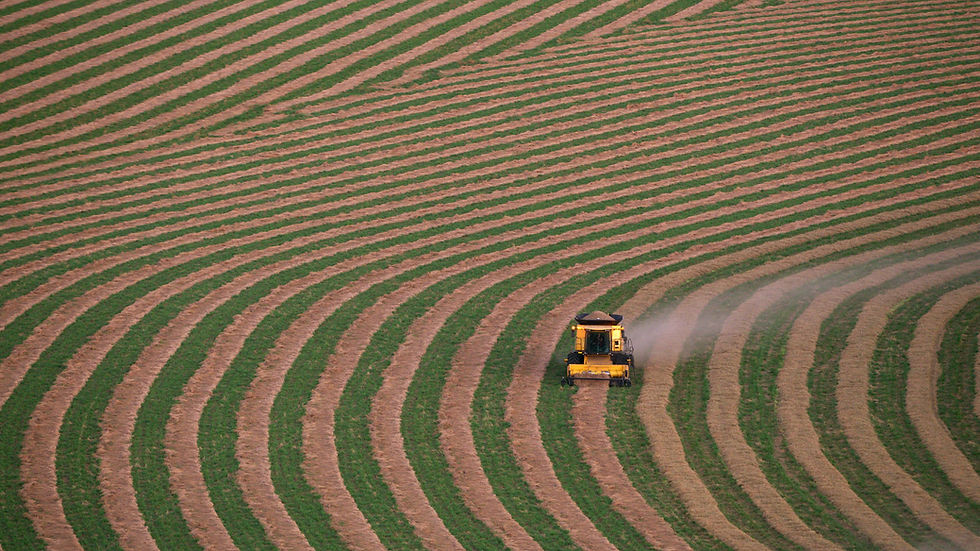 aerial-view-of-combine-in-field-with-crop-patterns-SBI-351561998.jpg