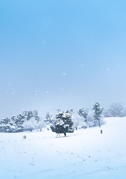 권연우 4_Winter Page.1.jpg