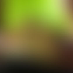 O CAMINHO DO DESPERTAR - APRESENTAÇÃO DO LIVRO