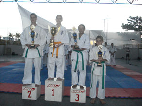 CAMPEONATOS DE KYOKUSHIN (Como funciona)