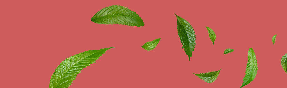 Banner mit Blättern.jpg
