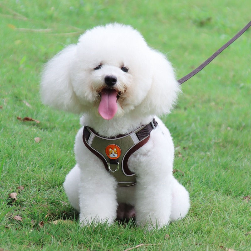 Thumbnail: Puppy Adjustable & Comfortable Padded Reflective Dog Vest Harness  DHBL22008