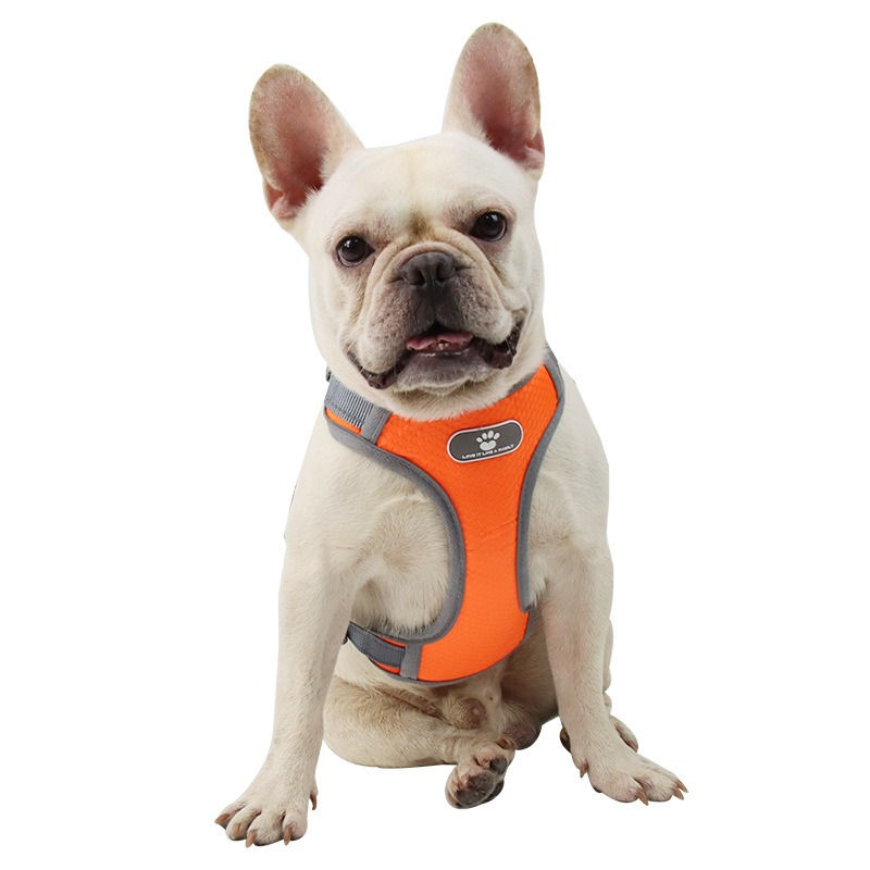 Thumbnail: Chest Vest Harness Pet Dog Cat Small Breed Harness  DHBL22011