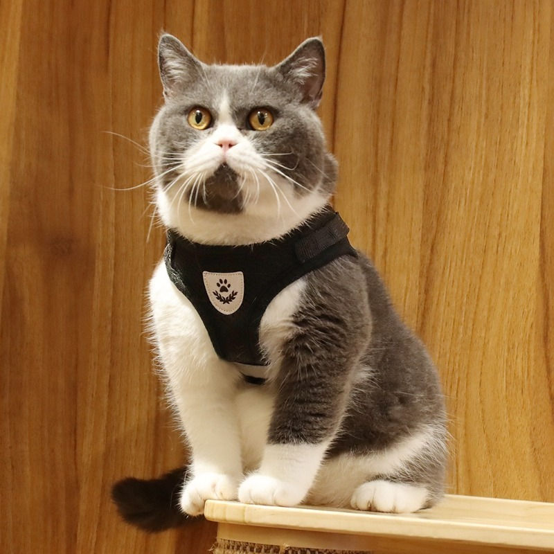 Thumbnail: Adjustable Cat Vest Harness Small Dog Soft Mesh Dog Vest Harness  DHBL22009