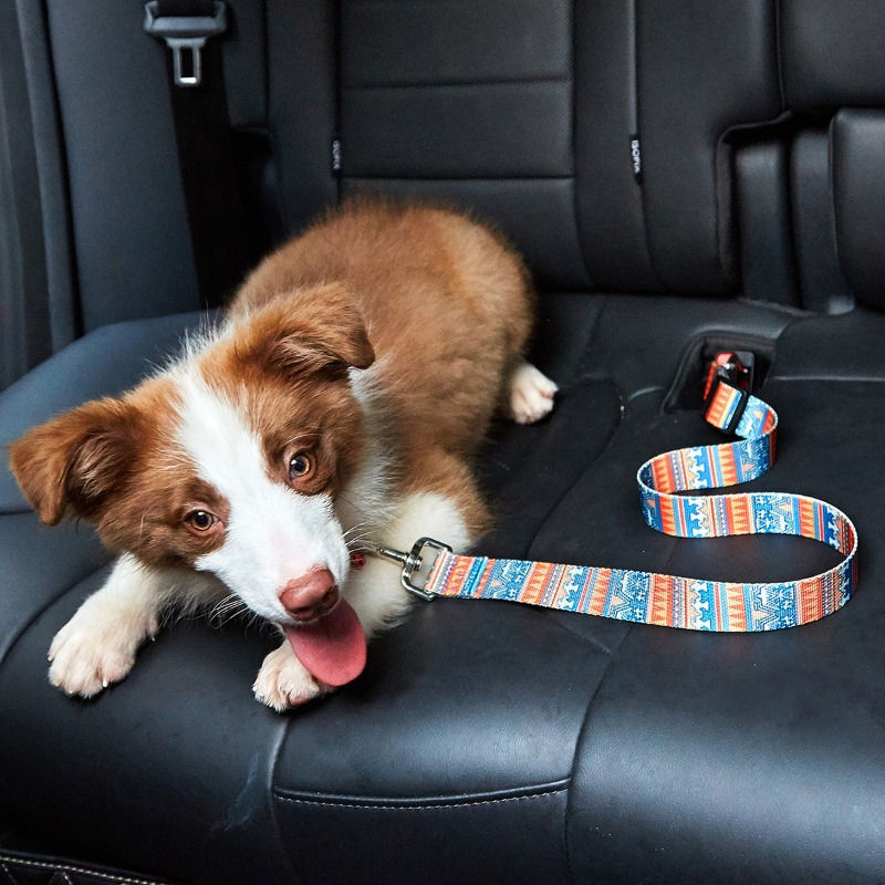 Thumbnail: Pet Safety Adjustable Printed Car Seat Belt Leash DLZS22006