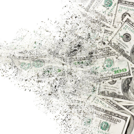 Why pet supply businesses are a good opportunity in 2022