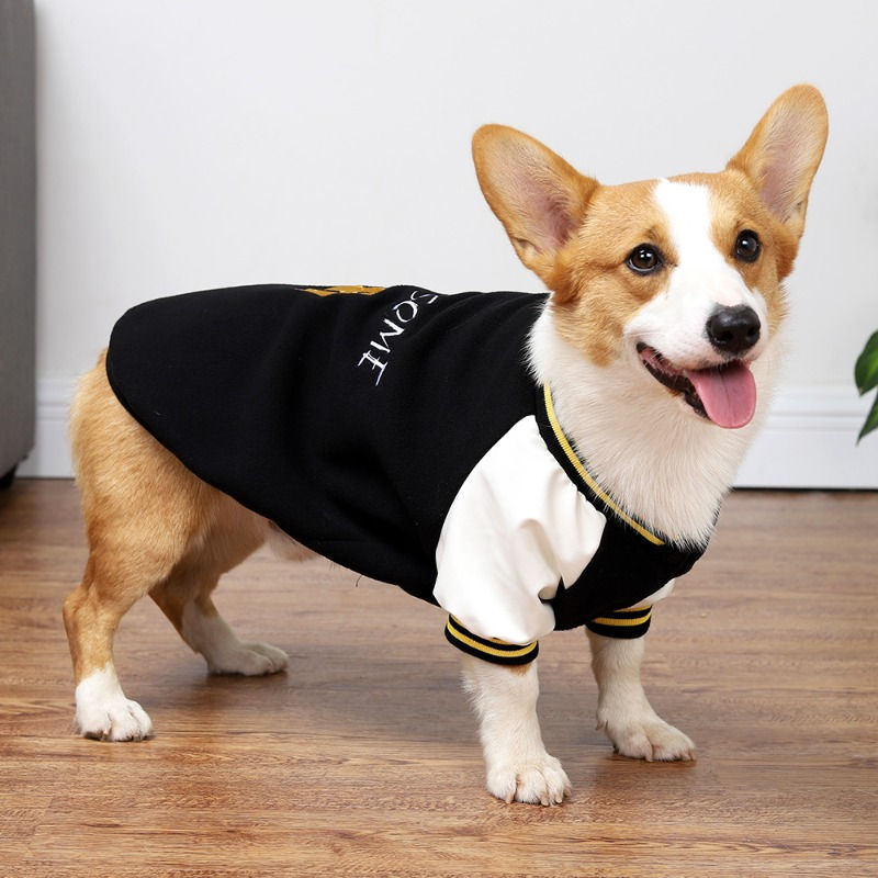 Thumbnail: Small&Medium dog Pet Clothes Autumn Winter Baseball Sweater Sportwear PCKL22021