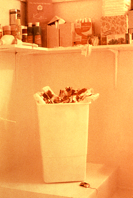 04 Menstruation Bathroom 1971 color corrected scan.png